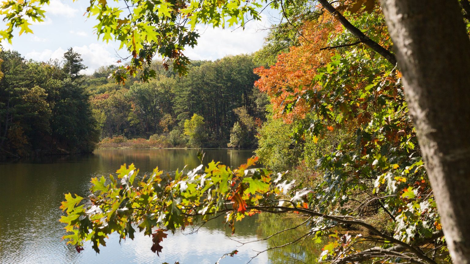 5 Reasons You’ll Fall in Love with Mount Horeb